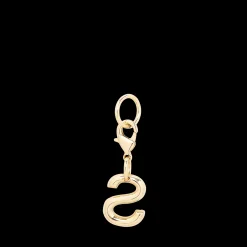 Charm lettre S