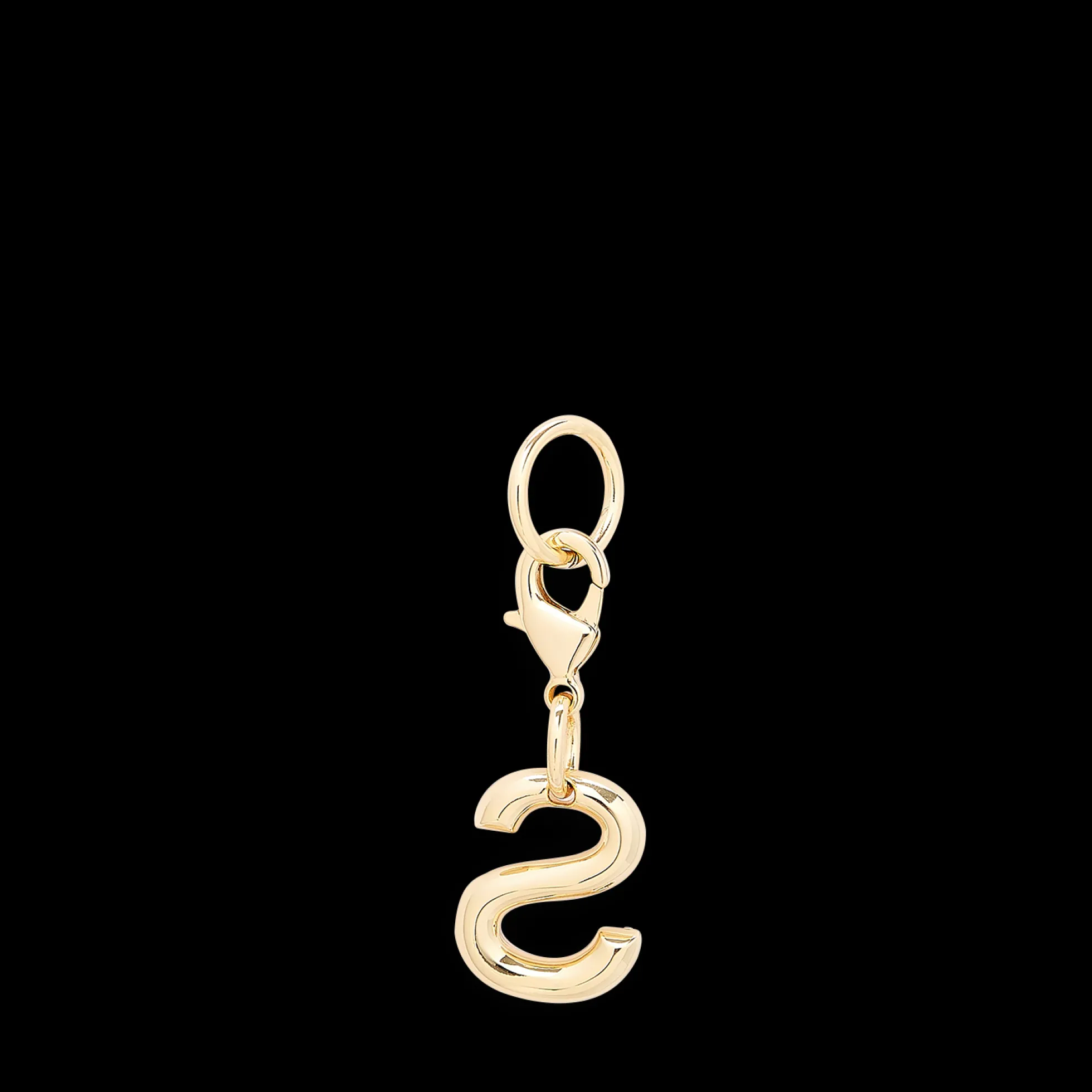 Charm lettre S