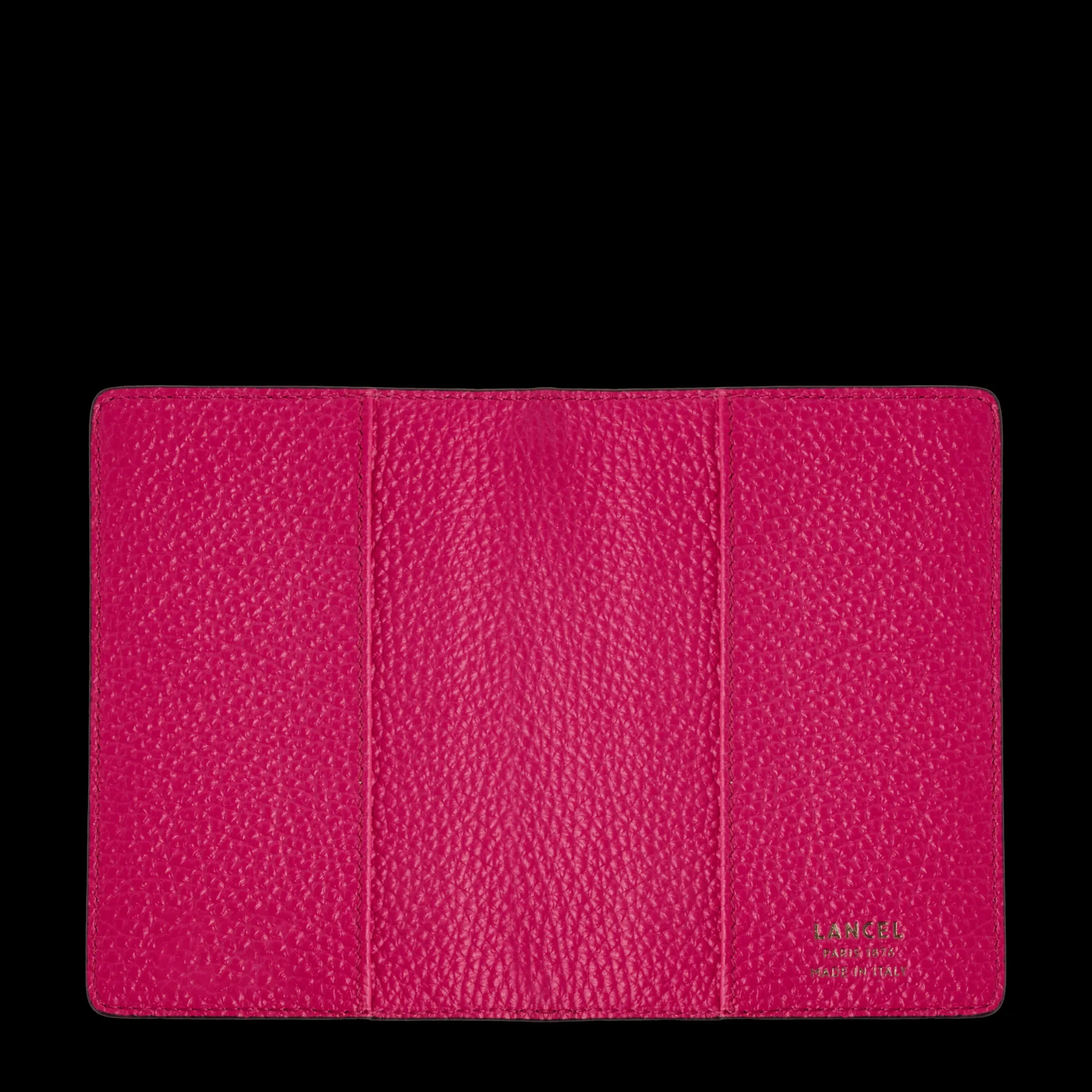 PORTE-PASSEPORT